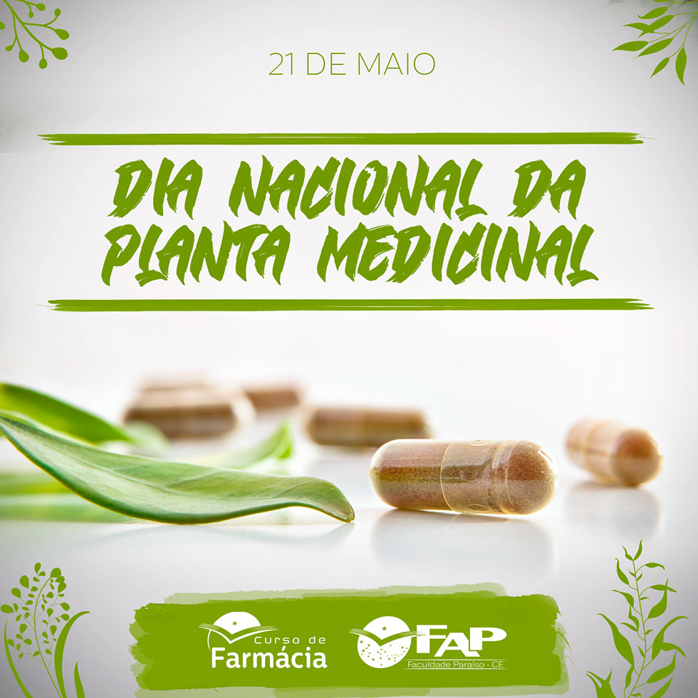21 de maio - Dia Nacional da Planta Medicinal